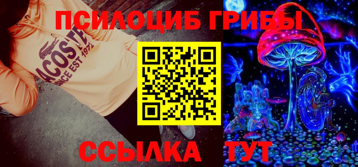 купить закладку  Вход с VPN  Кубинка  Галлюциногенные грибы Magic Shrooms 